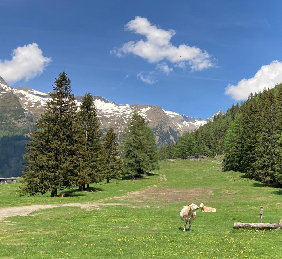 Haus Seebach Mallnitz Bagian luar foto